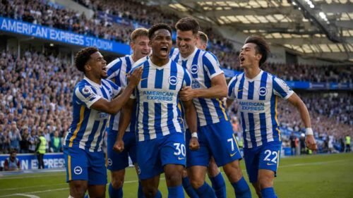 Brighton & Hove Albion players in blue and white jerseys celebrating on the pitch at the Amex Stadium